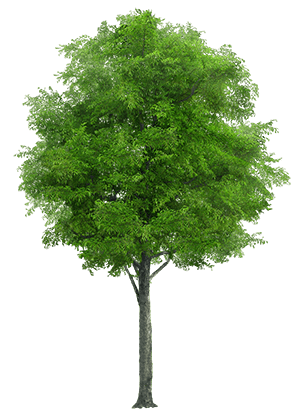 sustainability at genotek